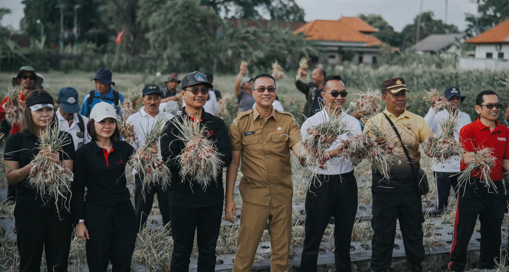 Pj. Sekda Badung Panen Bawang Merah di Subak Delod Sema, Sading